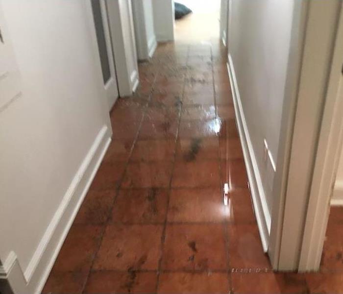 Hallway with solid waste on tile floor