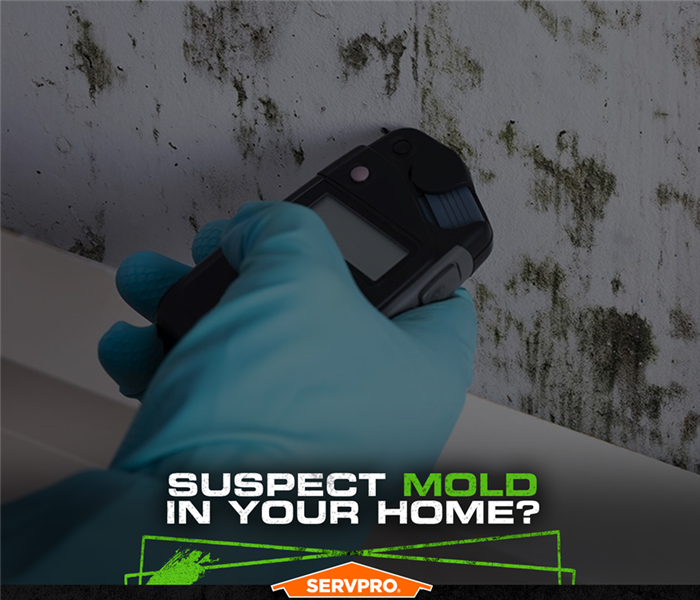 Hand wearing a glove holding a moisture meter against sheetrock covered with mold with caption: SUSPECT MOLD IN YOUR HOME?