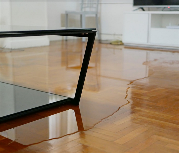 a puddle of water on the hardwood floor of a living room